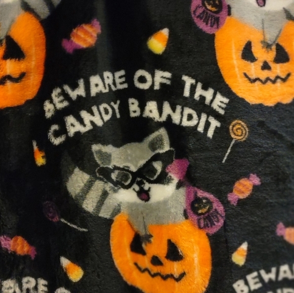 HALLOWEEN Raccoon Throw Blanket TREAT BAG included - Picture 4 of 7